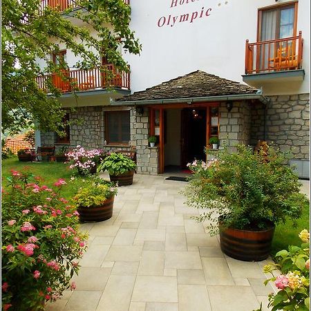 Hotel Olympic Metsovo Exterior foto