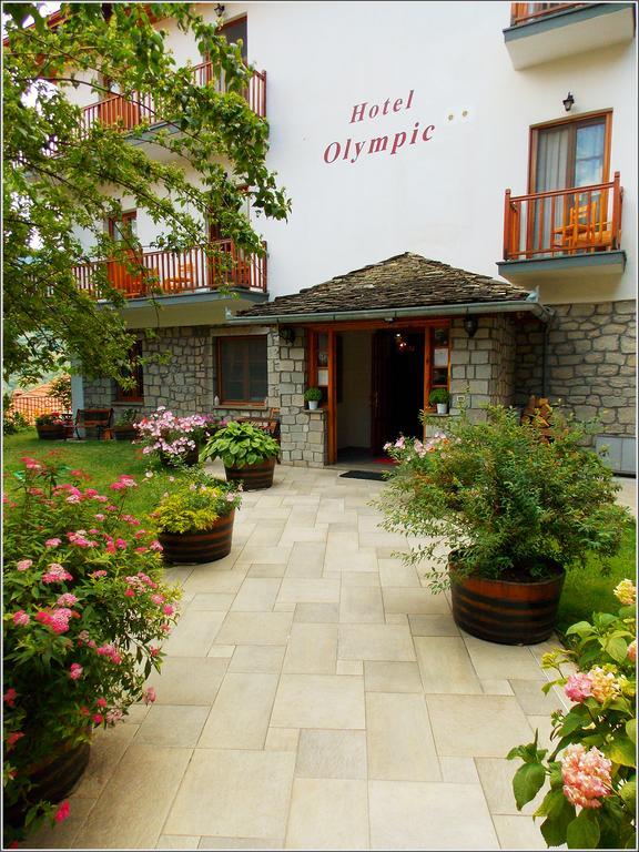 Hotel Olympic Metsovo Exterior foto