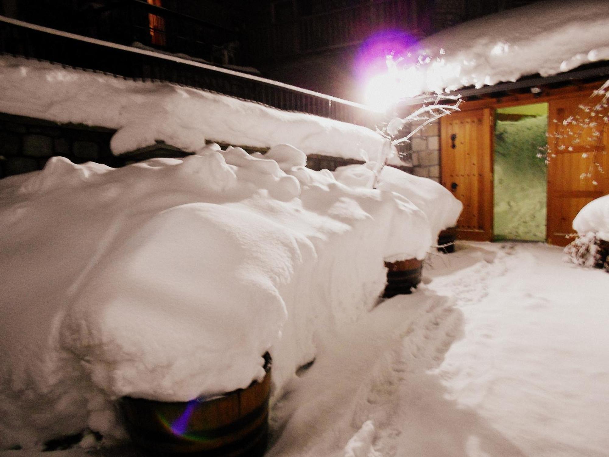Hotel Olympic Metsovo Exterior foto