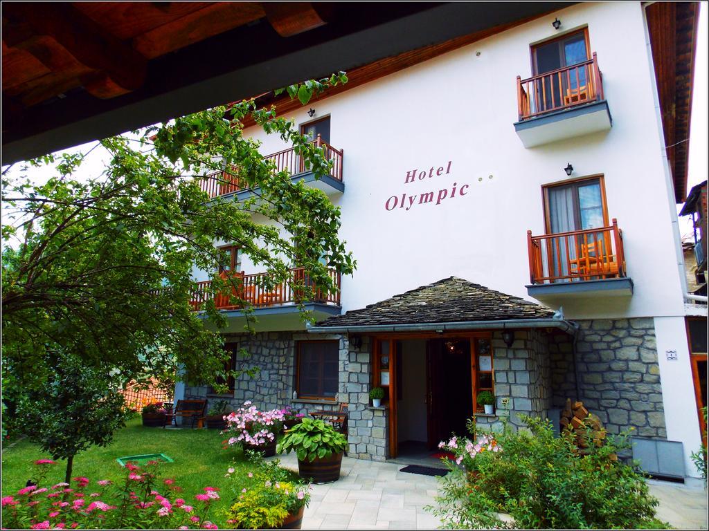 Hotel Olympic Metsovo Exterior foto